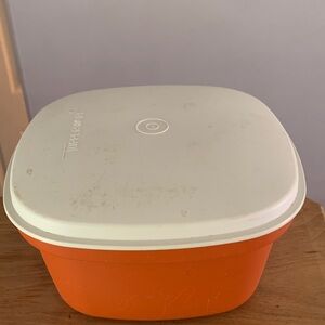 Tupperware Steam and Store Container